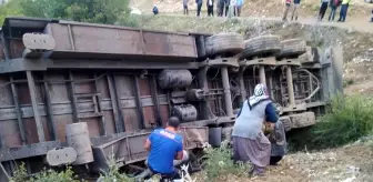 Tır şarampole devrildi: 3 kişi yaralandı, 160 küçükbaş hayvan telef oldu