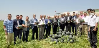 Karacabey'de karpuz şenliği