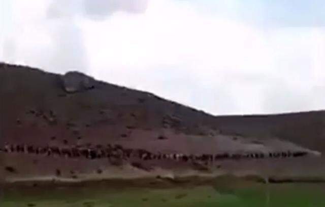Afgan göçmenlerin gruplar halinde sınırlarımızdan içeri girdiği iddiası Afgan göçmenlerin gruplar halinde sınırlarımızdan içeri girdiği iddiası