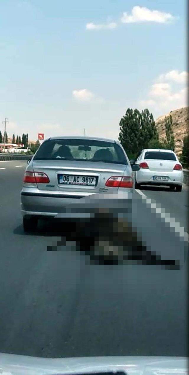 İnsanların içini sızlatan anlar! Ölü ineği arabasıyla sürüklenen şahıs, cezasız kalmadı İnsanların içini sızlatan anlar! Ölü ineği arabasıyla sürüklenen şahıs, cezasız kalmadı