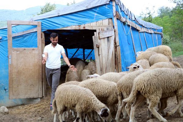 Köyüne dönen 25 yaşındaki genç, 'Genç Çiftçi' projesiyle 3 yılda 250 bin lira kazandı Köyüne dönen 25 yaşındaki genç, 'Genç Çiftçi' projesiyle 3 yılda 250 bin lira kazandı