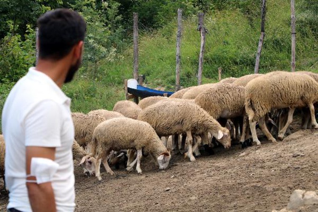 Köyüne dönen 25 yaşındaki genç, 'Genç Çiftçi' projesiyle 3 yılda 250 bin lira kazandı Köyüne dönen 25 yaşındaki genç, 'Genç Çiftçi' projesiyle 3 yılda 250 bin lira kazandı
