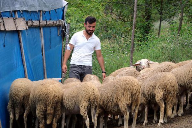 Köyüne dönen 25 yaşındaki genç, 'Genç Çiftçi' projesiyle 3 yılda 250 bin lira kazandı Köyüne dönen 25 yaşındaki genç, 'Genç Çiftçi' projesiyle 3 yılda 250 bin lira kazandı