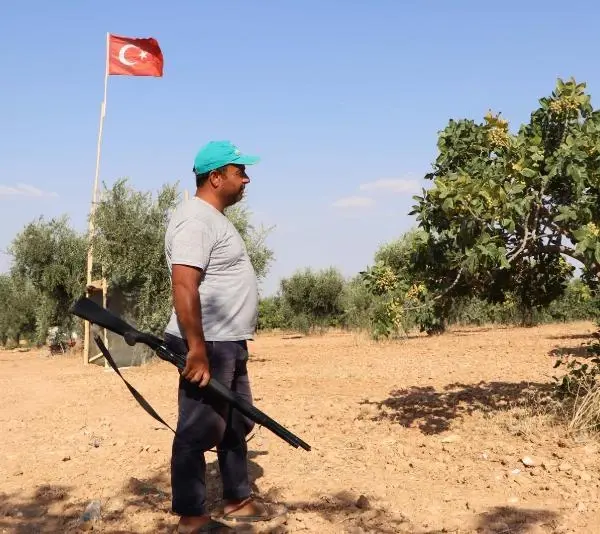 Güneydoğu'da Antep fıstığı hasadı başladı! Bekçiler hırsızlara karşı ellerinde tüfeklerle 24 saat nöbette