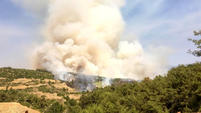 Osmaniye'de orman yangını! Ekiplerin hummalı çalışması devam ediyor