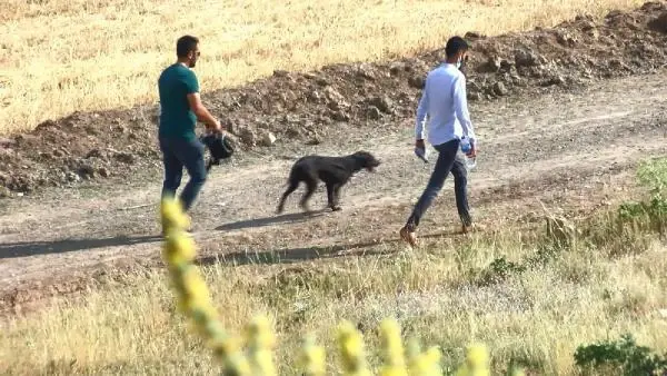 Kaçan kurbanlığın peşinden giden tıp öğrencisi genç, dünden bu yana kayıp