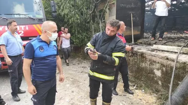 Çiftlik sahibinin hali görenleri kahretti! Yangında 12 bin hindi yavrusu can verdi