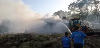 Son dakika haberleri... Bursa'da çıkan yangında 6 bin saman balyası yandı