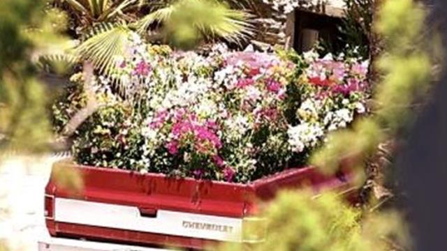 Geçtiğimiz günlerde 67. yaşına giren Sezen Aksu'ya kamyon dolu çiçek geldi