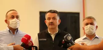 Son dakika haberi: Bakan Pakdemirli: '(Orman yangınları) Vatandaşlarımız uyarıları mutlaka dikkate alsınlar, uyarıları boşa yapmıyoruz.