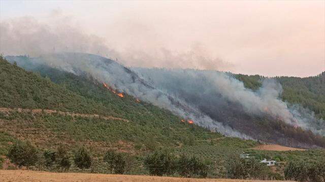 Osmaniye'de kontrol altına alınan yangınla ilgili 5 kişi gözaltında