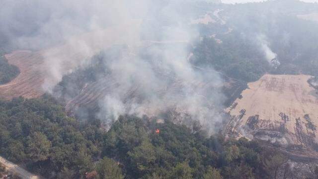 Osmaniye'de kontrol altına alınan yangınla ilgili 5 kişi gözaltında