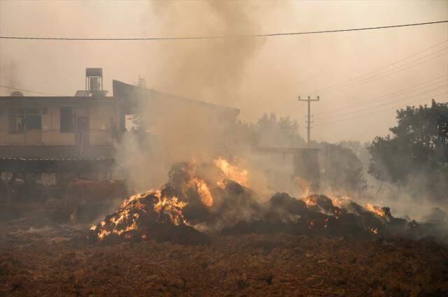 Son Dakika: Alevlere esir olan Manavgat'tan acı haber! 82 yaşındaki bir vatandaşımız hayatını kaybetti