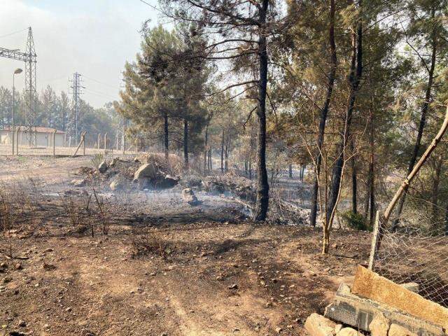 Son Dakika: Antalya'da yaşanan orman yangınlarında hayatını kaybedenlerin sayısı 3'e yükseldi Son Dakika: Antalya'da yaşanan orman yangınlarında hayatını kaybedenlerin sayısı 3'e yükseldi