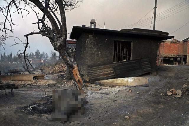 Son Dakika: Antalya'da yaşanan orman yangınlarında hayatını kaybedenlerin sayısı 3'e yükseldi Son Dakika: Antalya'da yaşanan orman yangınlarında hayatını kaybedenlerin sayısı 3'e yükseldi