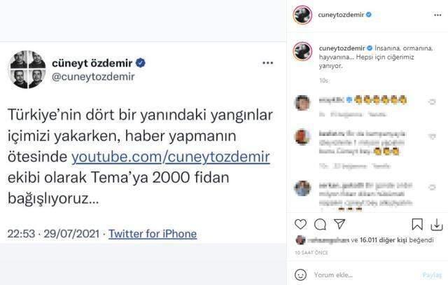 Ünlü isimler, yanan ormanların yeniden ağaçlandırılması için Tema Vakfı'na bağış yapmaya başladı