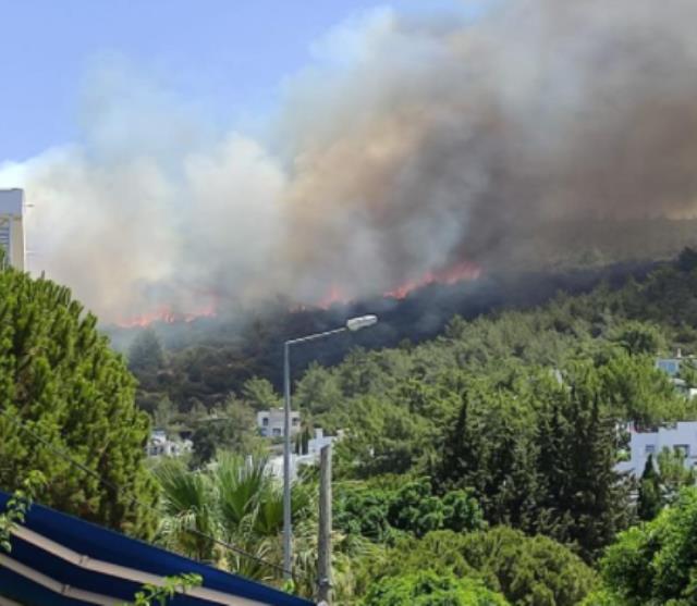 Bodrum'da yerleşim alanına 150 metre uzaklıkta yangın çıktı! Ekipler seferber oldu