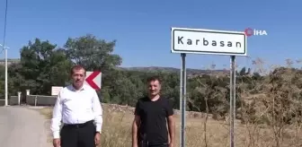 Kütahya'da Adaçayı hasadı başladı