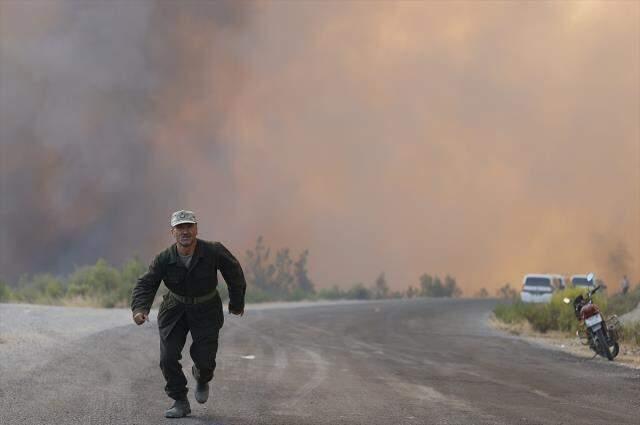 Alevler 20 metreye kadar yükseldi! Manavgat'ta kara yoluna kadar ulaşan yangınla mücadele sürüyor