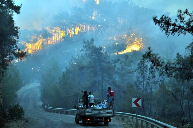 Milas'ın Beyciler köyünde yangın sabaha kadar sürdü! Köylüler adeta kabusu yaşadı