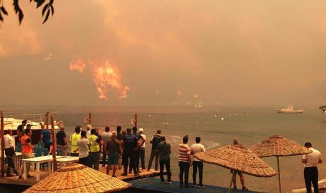 Bodrum Belediye Başkanı Aras, Mazı-Çökertme arasındaki yangını canlı yayınladı: Artık ne yapacağımızı şaşırdık