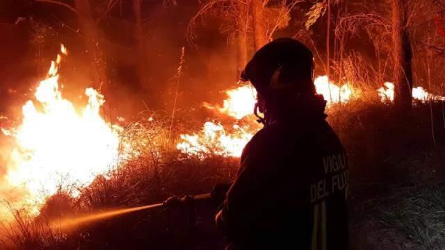 Bodrum Belediye Başkanı Aras, Mazı-Çökertme arasındaki yangını canlı yayınladı: Artık ne yapacağımızı şaşırdık