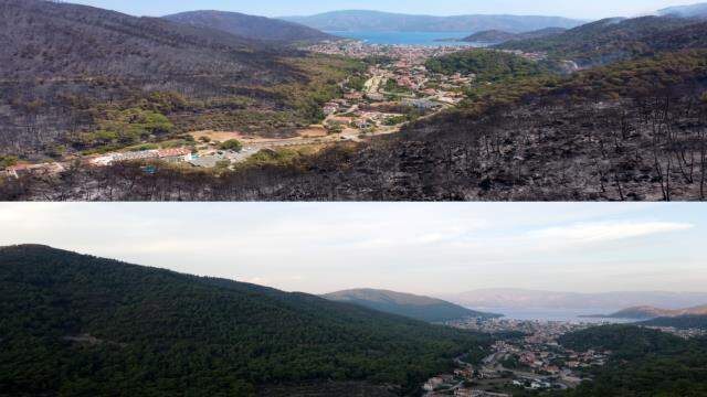 Felaketin boyutu gözler önüne serildi! İşte yangından önce ve sonra Marmaris Felaketin boyutu gözler önüne serildi! İşte yangından önce ve sonra Marmaris