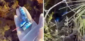 Datça'da yangın çıkan ormanlık alandaki torpiller çocuklarınmış