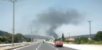 Son dakika haberleri! Kuruyemiş fabrikasında yangın