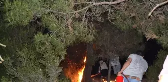 Salihli'de orman yangını; 10 dönüm alan zarar gördü