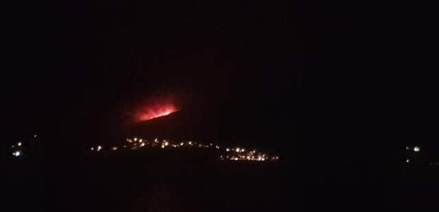 Milas'ta termik santral yakınlarına ulaşan yangın nedeniyle bölge boşaltılıyor Milas'ta termik santral yakınlarına ulaşan yangın nedeniyle bölge boşaltılıyor