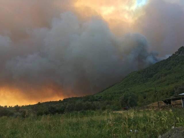 Türkiye'deki orman yangınları yedinci günde sürüyor! İşte il il son durum