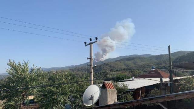 Türkiye'deki orman yangınları yedinci günde sürüyor! İşte il il son durum