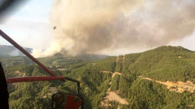Türkiye'deki orman yangınları yedinci günde sürüyor! İşte il il son durum