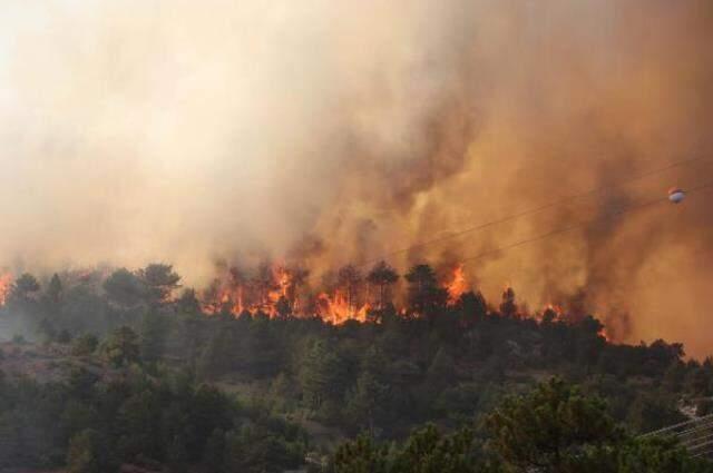 Türkiye'deki orman yangınları yedinci günde sürüyor! İşte il il son durum