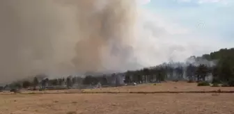 Son dakika haberi... Tefenni'de çıkan orman yangını kontrol altına alındı