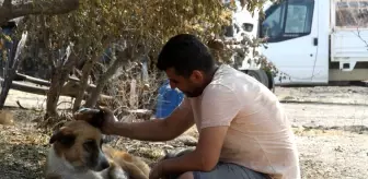 Son dakika gündem: Yangında kaybolan köpeği 4 gün sonra geri geldi, gözlerine inanamadı