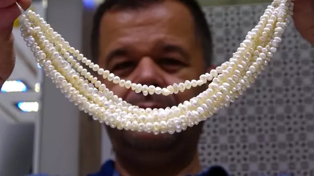 Birçok kişi yerde bulsa ne olduğunu anlamaz! Bu incinin gramı altından 5 kat daha pahalı