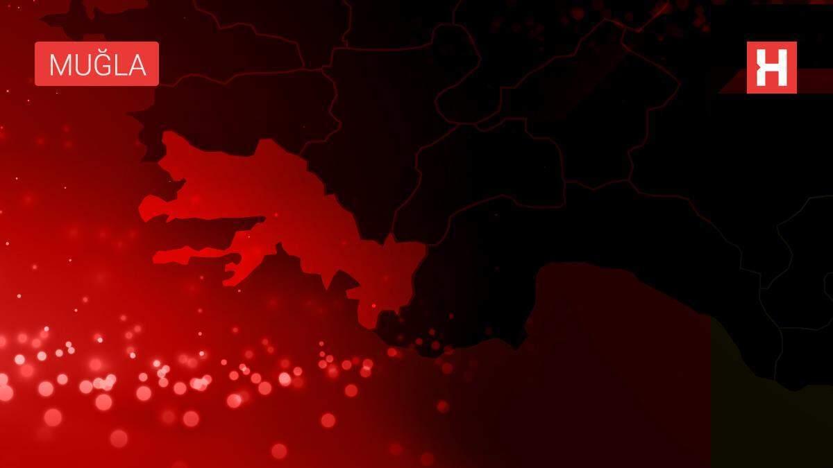 Son dakika haberleri... Tarım ve Orman Bakanı Bekir Pakdemirli: 'Genel itibarıyla Muğla'daki tüm yangınlarla ilgili durum iyiye doğru gidiyor'