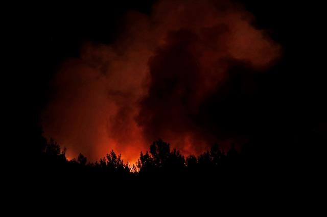 235 yangın kontrol altına alındı, Muğla'da ise alevlerle mücadele ediliyor! İşte son durum