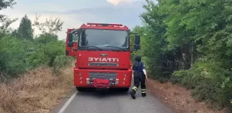 Bahçe yangını söndürüldü