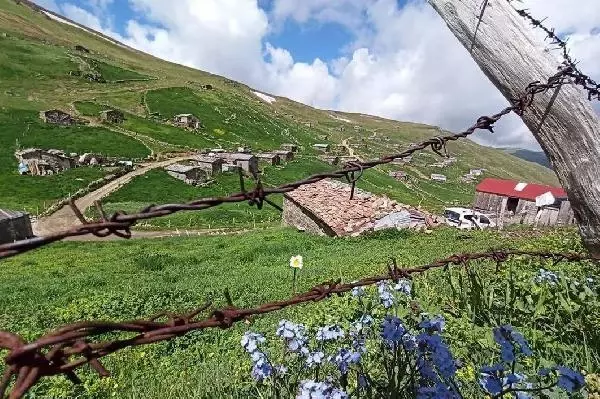 Yaylada jeneratörü açıp yatan aile ve misafirleri sabah faciayı yaşadı! 1 kişi öldü, 11 kişi hastanede