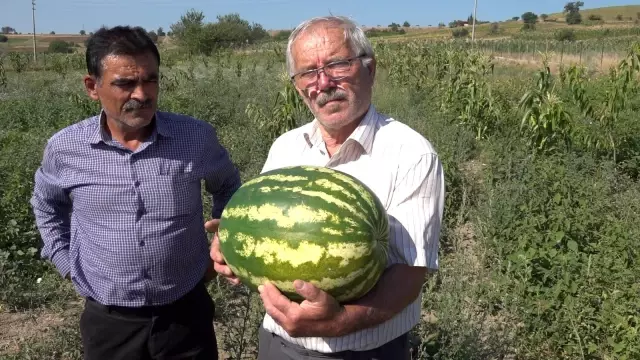 Babadan kalma geleneği sürdürüyor! Bahçesinde yetiştirdiği sebze ve meyveleri herkese ücretsiz dağıtıyor