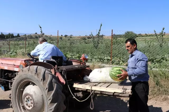 Babadan kalma geleneği sürdürüyor! Bahçesinde yetiştirdiği sebze ve meyveleri herkese ücretsiz dağıtıyor