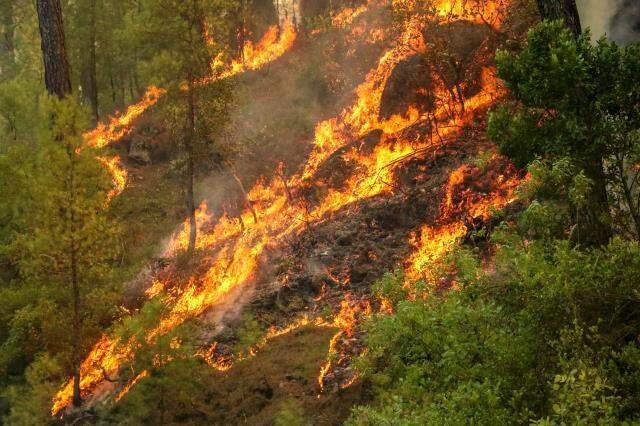 Antalya ve Muğla'da mücadele sürerken Burdur'dan da kötü haber geldi: Bu yangın tehlikeli