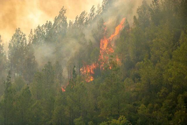 Antalya ve Muğla'da mücadele sürerken Burdur'dan da kötü haber geldi: Bu yangın tehlikeli