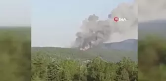 Son dakika haberi | Bursa'da orman yangını: Havadan ve karadan müdahale sürüyor