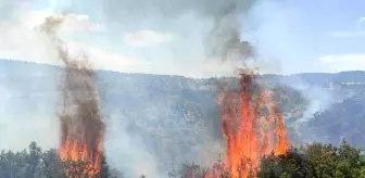 Son dakika... Mahallede anonsu duyan yangına koştu