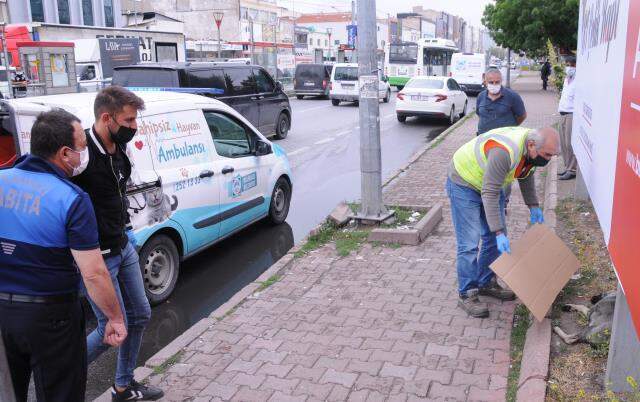 Vicdansızlıkta sınır tanımadılar! Gözlerini oydukları köpeğin, çenesini sert cisimle kırdılar Vicdansızlıkta sınır tanımadılar! Gözlerini oydukları köpeğin, çenesini sert cisimle kırdılar