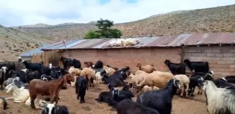 Muz üreticileri gübreyi, Bozkır'dan tedarik ediyor